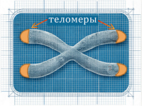 Telomery Effect Heiflika